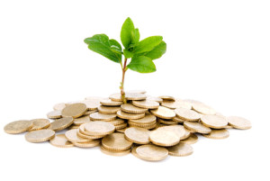 moneytree