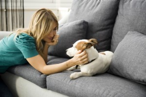 shutterstock_242113181-700x465